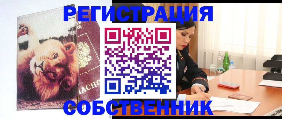 прописка от собственника в Майкопе